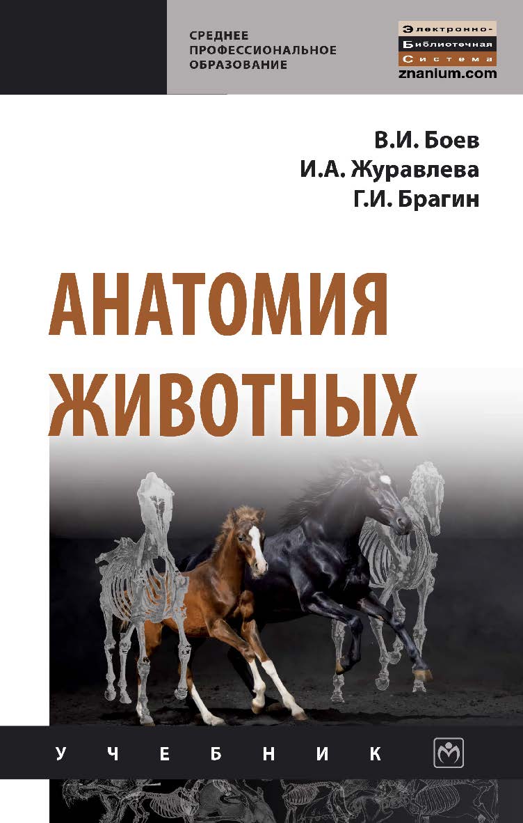 Анатомия животных : учебник. (Среднее профессиональное образование). ISBN 978-5-16-013881-7