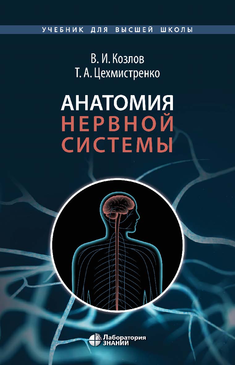 Анатомия нервной системы : учебное пособие для студентов . — 3-е изд., электрон. — (Учебник для высшей школы) ISBN 978-5-93208-573-8