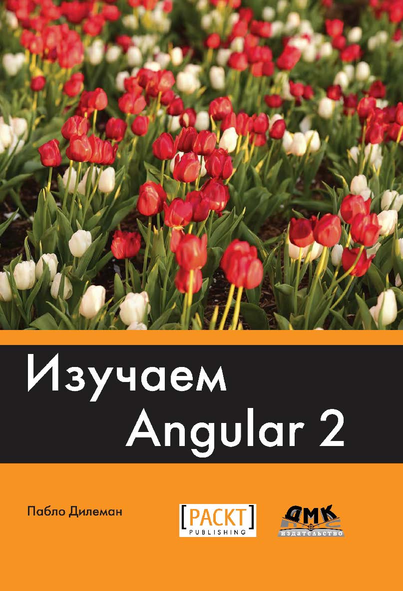 Изучаем Angular 2 / пер. с англ. Р. Н. Рагимова; под науч. ред. А. Н. Киселева ISBN 978-5-97060-461-8