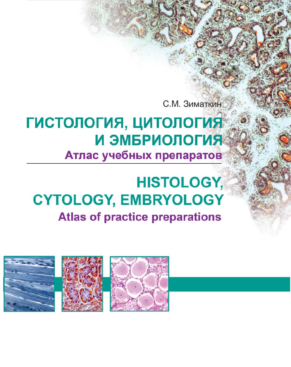 Гистология, цитология и эмбриология. Атлас учебных препаратов = Histology, Cytology, Embryology. Atlas of practice preparations : учеб. пособие ISBN 978-985-06-2860-2