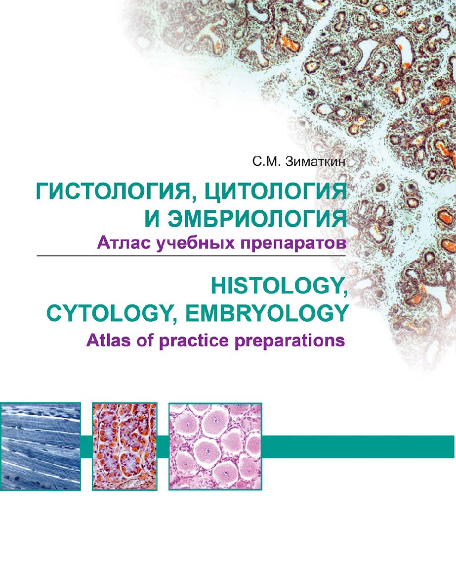 Гистология, цитология и эмбриология. ISBN 978-985-06-3202-9