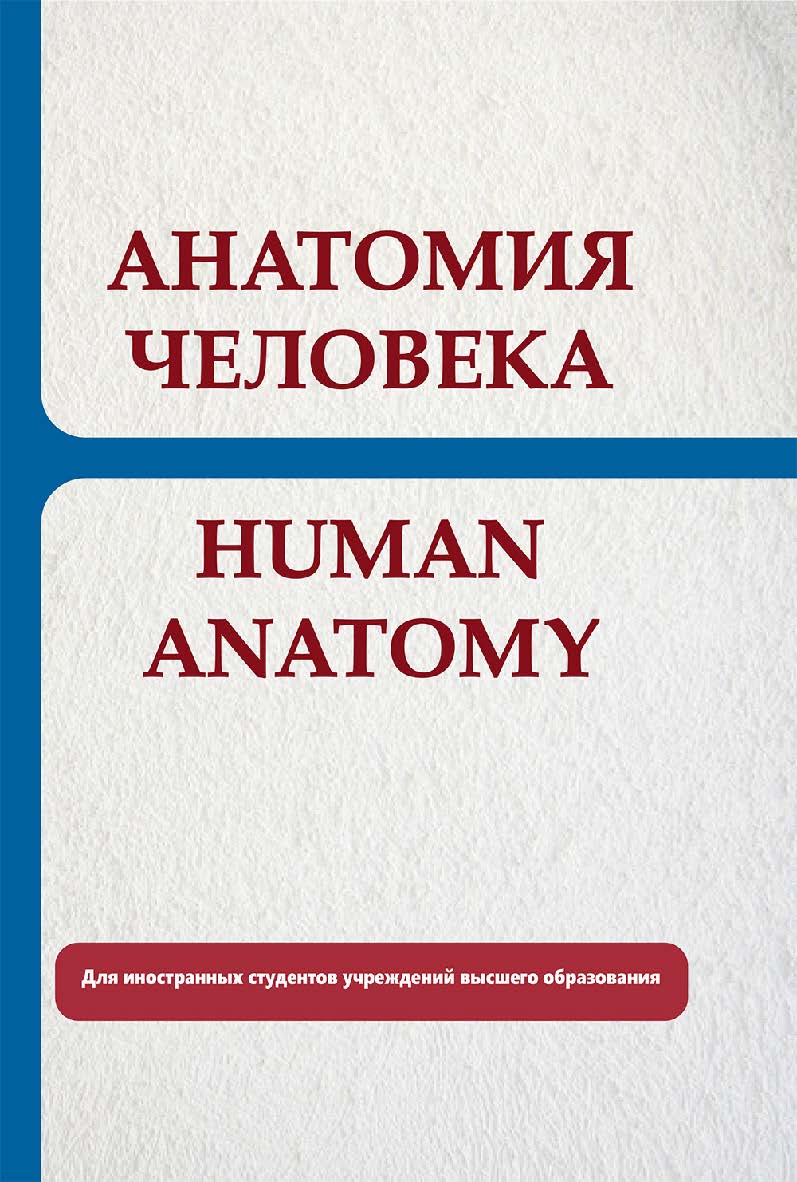 Анатомия человека = Human Anatomy ISBN 978-985-06-3304-0