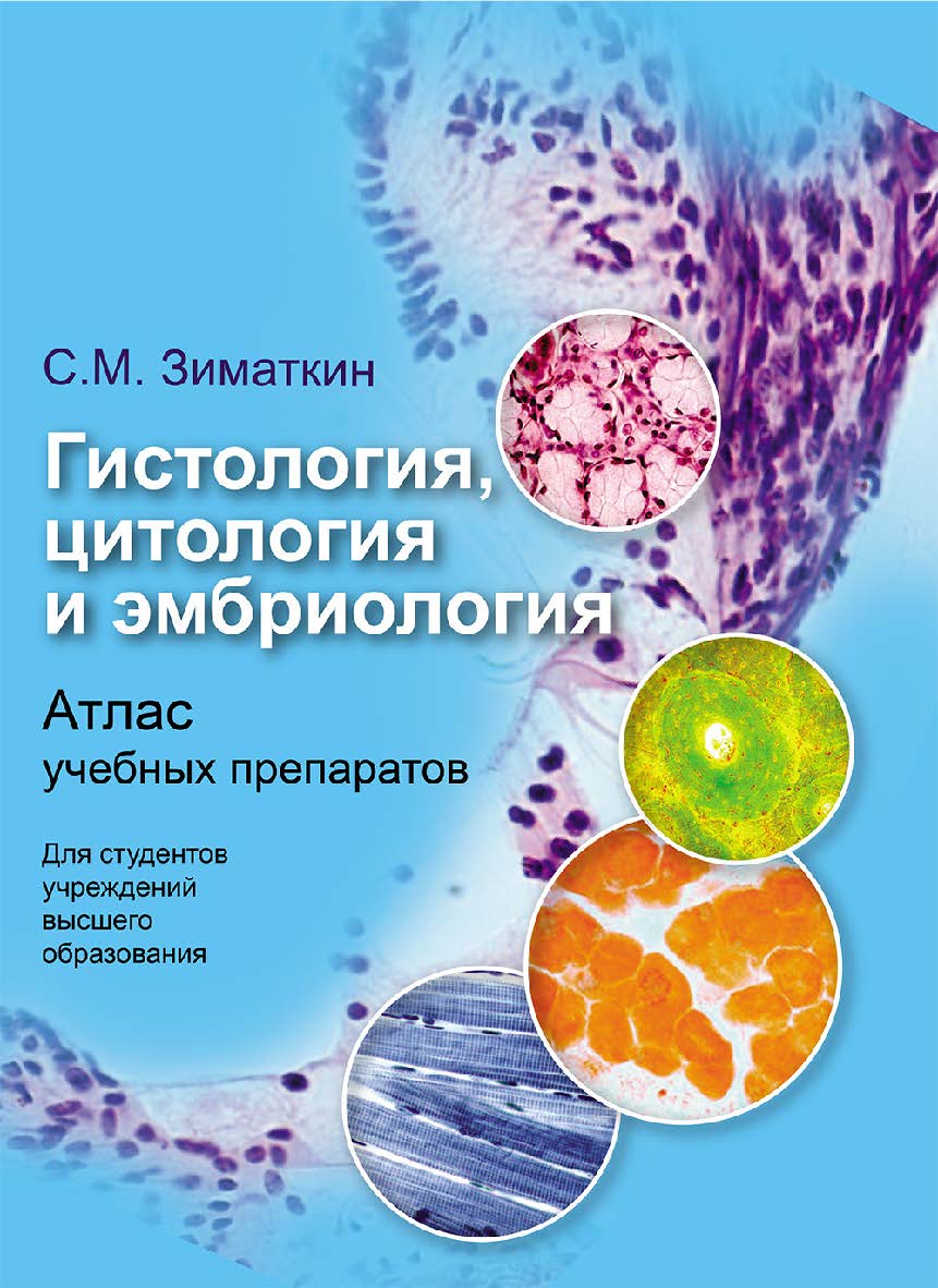 Гистология, цитология и эмбриология. Атлас учебных препаратов ISBN 978-985-06-3342-2