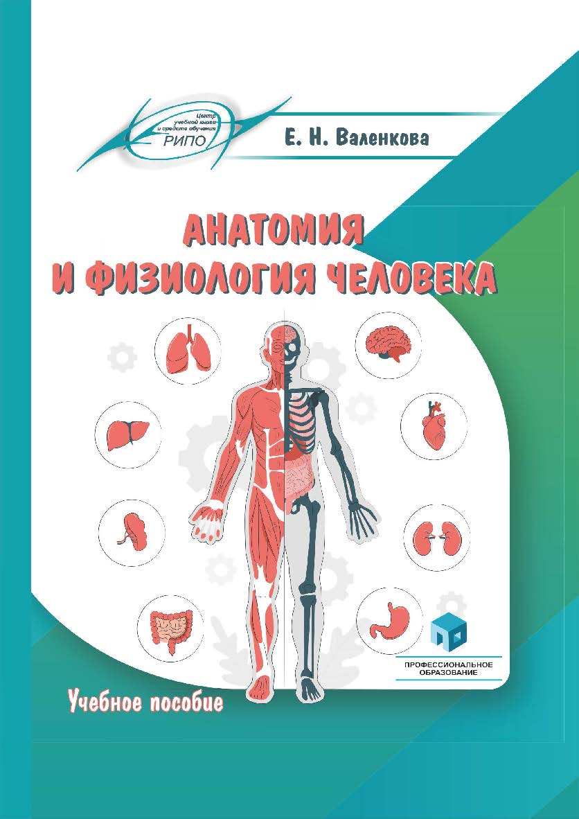 Анатомия и физиология человека : учеб. пособие ISBN 978-985-7253-98-2