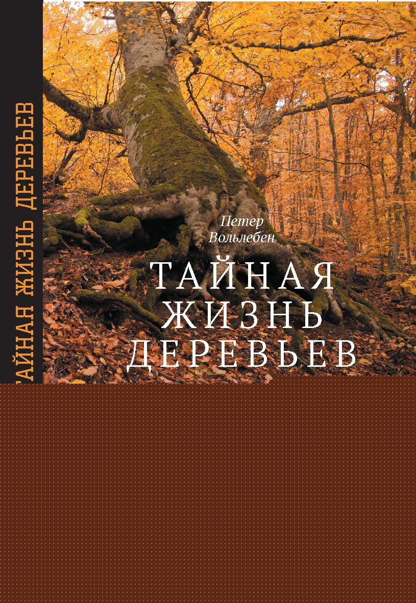 Тайная жизнь деревьев. Что они чувствуют, как они общаются — открытие сокровенного мира ISBN 978-5-7598-1959-2