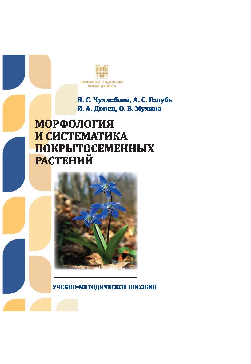 Морфология и систематика покрытосеменных растений : учебно-методическое пособие ISBN stgau_2024_31
