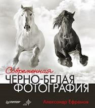 Современная черно-белая фотография ISBN 978-5-459-00457-1