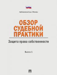 Обзор судебной практики. Защита права собственности. Выпуск 1 ISBN 978-5-392-13146-4