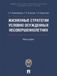 Жизненные стратегии условно осужденных несовершеннолетних ISBN 978-5-392-22637-5