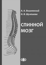 Спинной мозг: (клинические и патофизиологические сопоставления) ISBN 978-5-93929-249-8