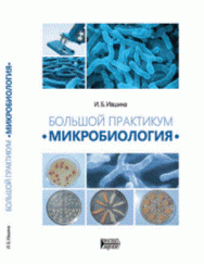 Большой практикум «Микробиология»: Учебное пособие ISBN pn_0013